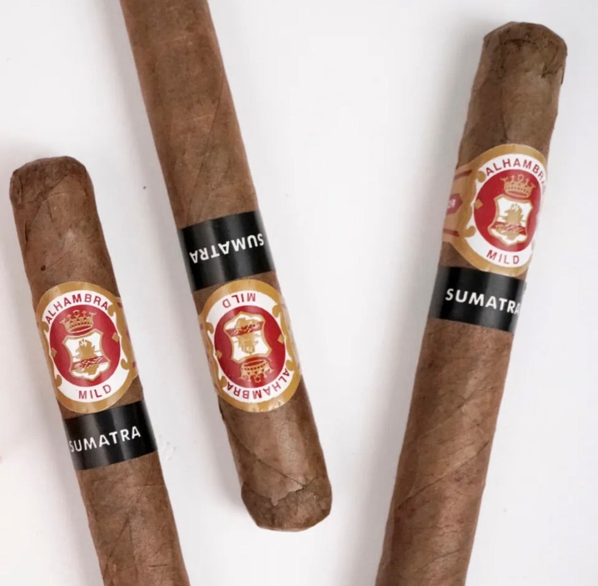 Alhambra Coronas Sumatra 7