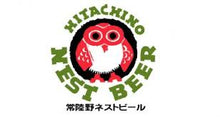 Load image into Gallery viewer, Engkanto Sunbathing Owl
